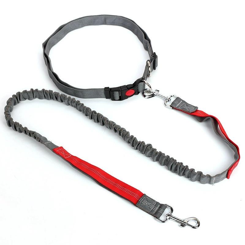 Adjustable Retractable Dog Leash Multi-functional Sports Traction Rope Hands-free Running Reflective Bungee Design