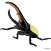 Strong King Collection Battle Soft Vinyl Hercules Beetle Toy