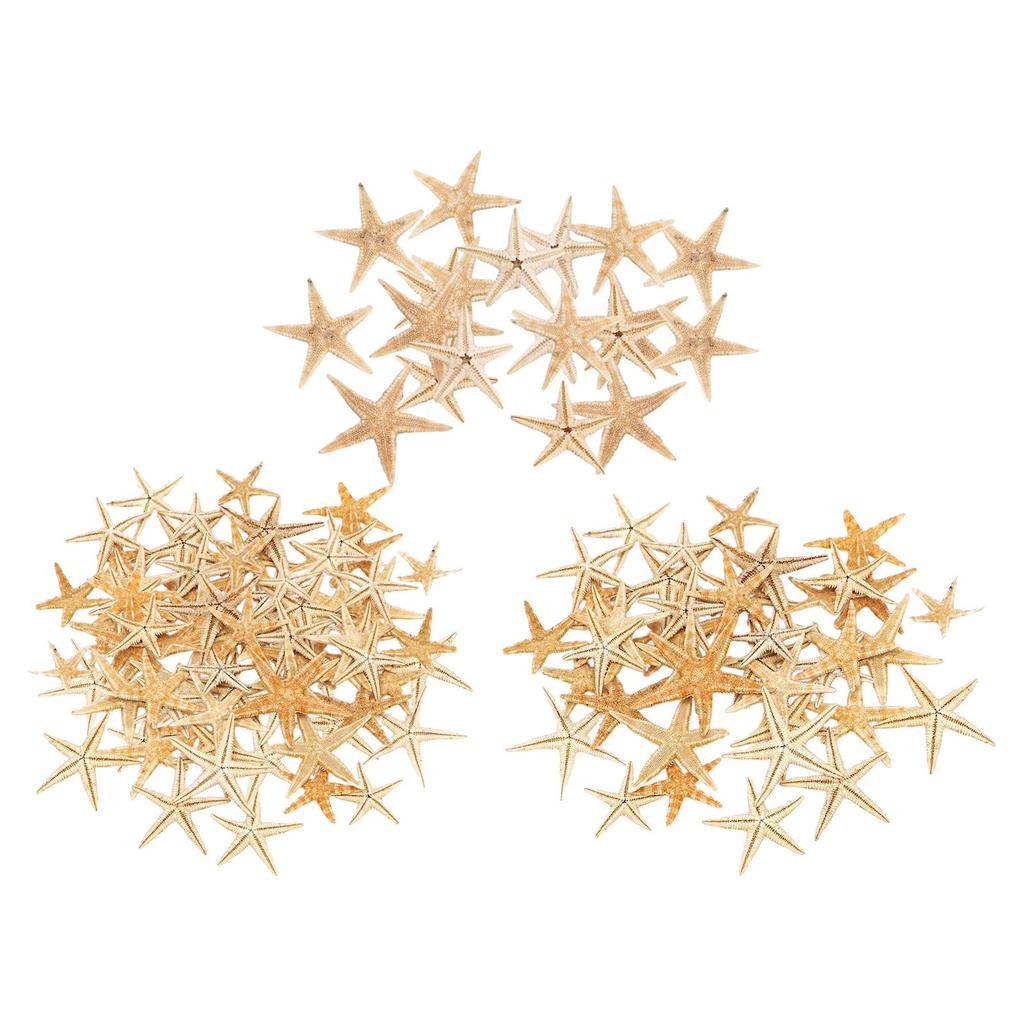 Mini Natural Flat Tan Starfish Seashells Beach Wedding Decor Craft Supplies
