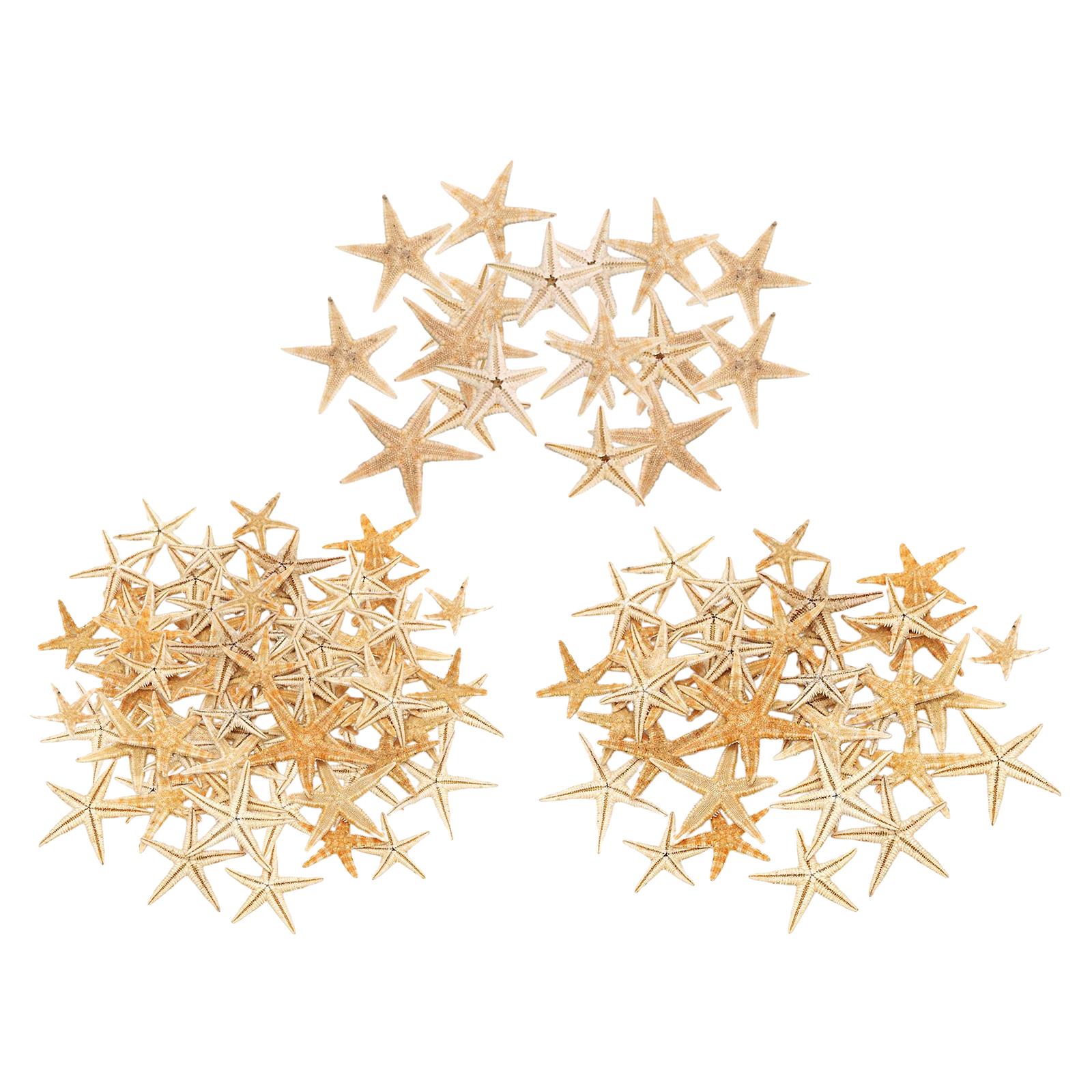 Натуральная Морская Звезда Морская Звезда Ракушки Пляжные Ракушки Поделки Свадебный DIY Декор 3-5cm 20pcs