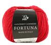 Puppy Yarn Color Autumn/Winter "FORTUNA 2248"