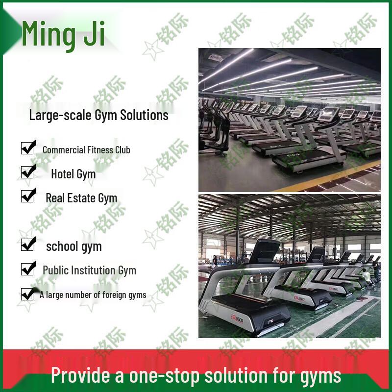 Commercial Gym Barbell Rack