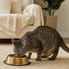 Large Capacity Pet Feeding Bowl Stainless Steel Cat Food Dish Dog Water Food Bowl  for Feeding