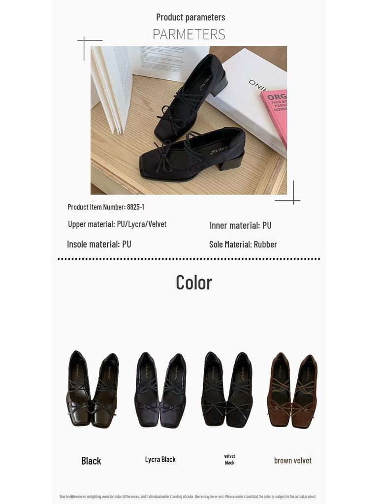 Women's 2025 Chunky Heel Mary Jane Shoes - French Square Toe, Pig Mouth Design, Spring/Autumn
