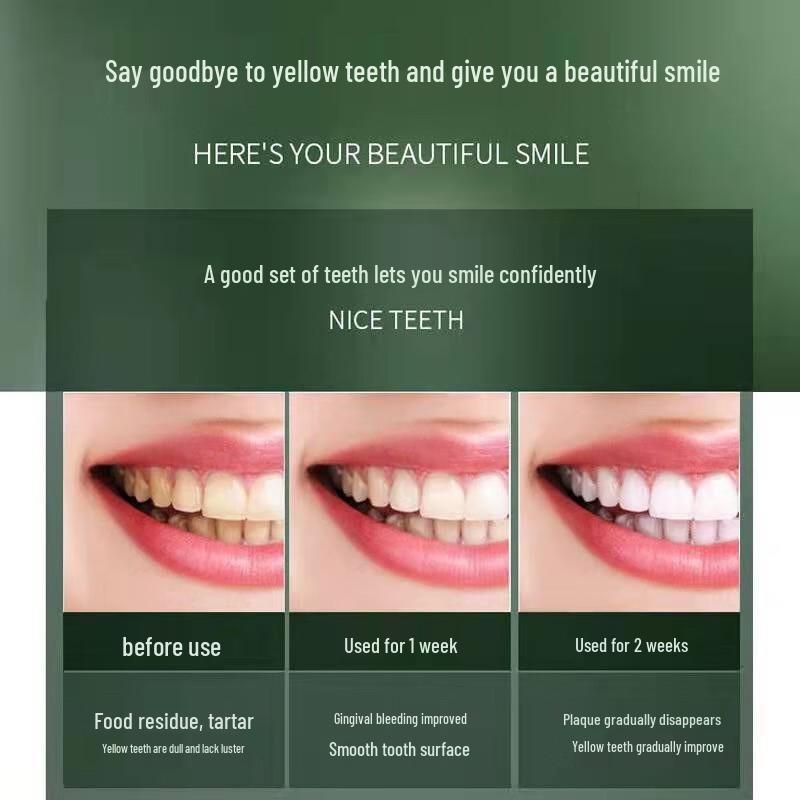 Shangheng Sonic Electric Toothbrush with 5 Modes