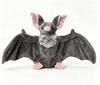 Peluche Pipistrello di Halloween Animale di Peluche, Bambola Decorazione Regalo Carina per Bambini
