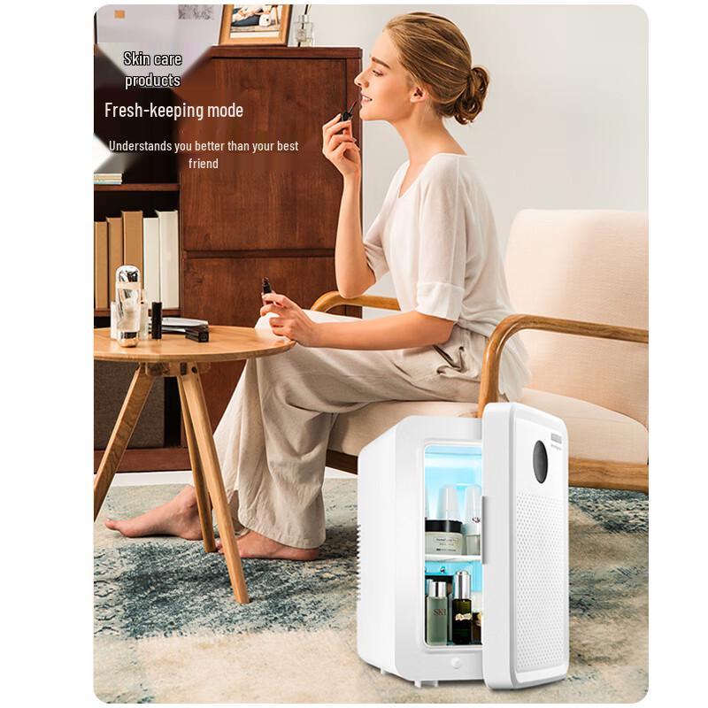 Kemin 10L Draagbare Mini Koelkast voor Auto & Huis