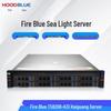 Hoodblue TS8208-H31 Loongson Enterprise 2U Rackmount Server