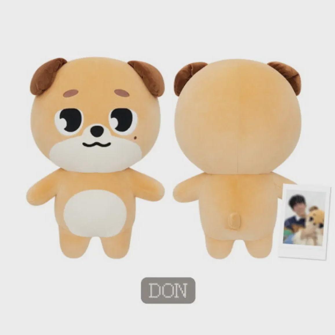 

DAY6 Danimals Giant Продает Деньги