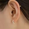 14k Pressed Star Cubic Piercing (14k Gold) (Bar Thickness 1mm) S05