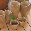 Round Pulp Seedling Cups With Drainage Holes Biodegradable Mini Nursery Plant Flowers Vegetable Seedlings Trays Garden Supplies
