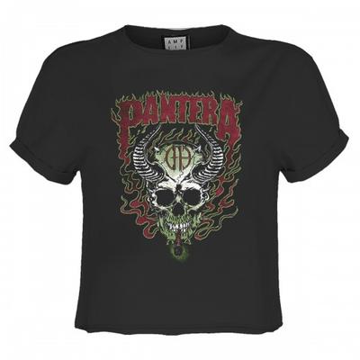 Womens/Ladies Fire Skull Pantera Crop Top