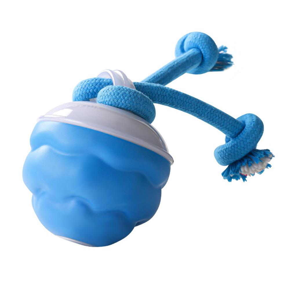 

New Interactive Dog Ball Toys Touch Activated,Rechargeable,Soundable Dog Toy, Active Rolling Ball Wicked Ball For Daily Training