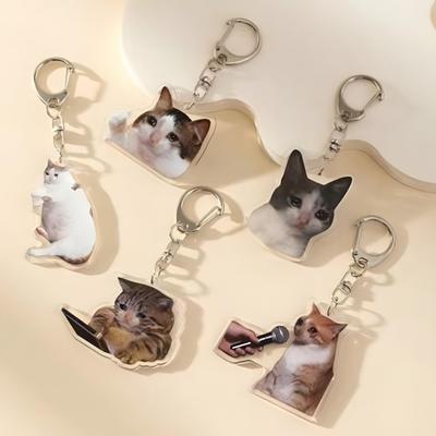 Acrylic Crying Cat Meme Keychain - Cute & Funny Wronged Cat Pendant Key Holder