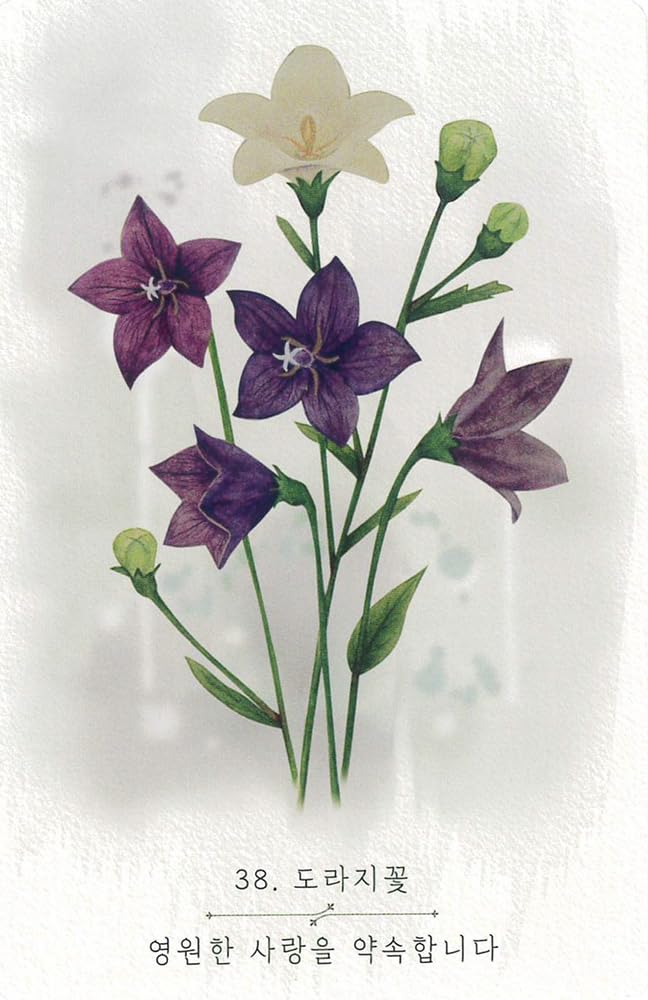 Wildflower Oracle Cards (New Edition) | PRIME MUSE | 60 Cards with Downloadable Japanese Instruction Manual [Authentic]