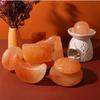 Windfulogo 2-Piece Heart-Shaped Himalayan Salt Massage Stone Cold Rock Kit for Facial Spa