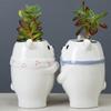 Ceramic Cartoon Flower Pot Cute Succulent Flower Pot Creative Home Gardening Potted Plant