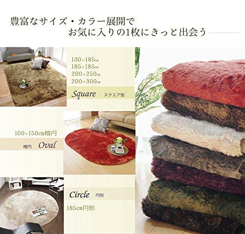 IKEHIKO Rug, 4-Tatami Size, Solid Shaggy Texture, Available In Large Orange, Approx. 200 X 300 Cm, Compatible with Heated Carpets, #3952239