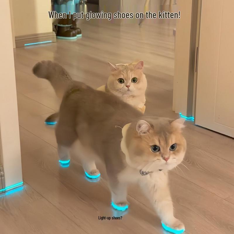 Pet Luminous Shoes, Whistle Night Light, and Photography Accessories for Cats and Dogs