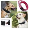 Animals & Pet Supplies > Pet Supplies > Pet Collars & Harnesses
