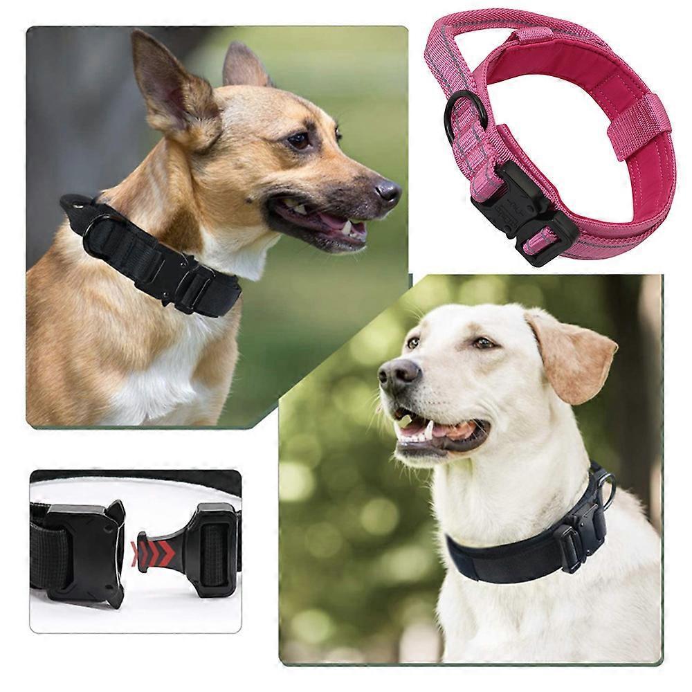 Animals & Pet Supplies > Pet Supplies > Pet Collars & Harnesses