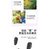 200g Dried Black Mulberries Premium Grade Sweet Fragrant Natural Snack