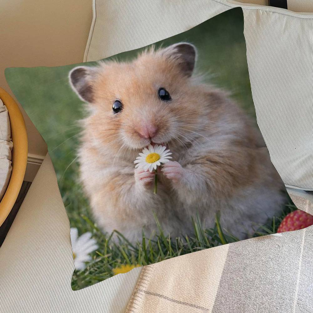 Funny Sad Hamster Emoticon   Pillow Cover for Bedroom Room and Living Room Sofa Decorative Cushion Cover