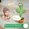 A Talking Cactus Toy That Can Be Charged Recorded and Repeated Suitable for Spanish English and Arabic Voice Changer for Kids