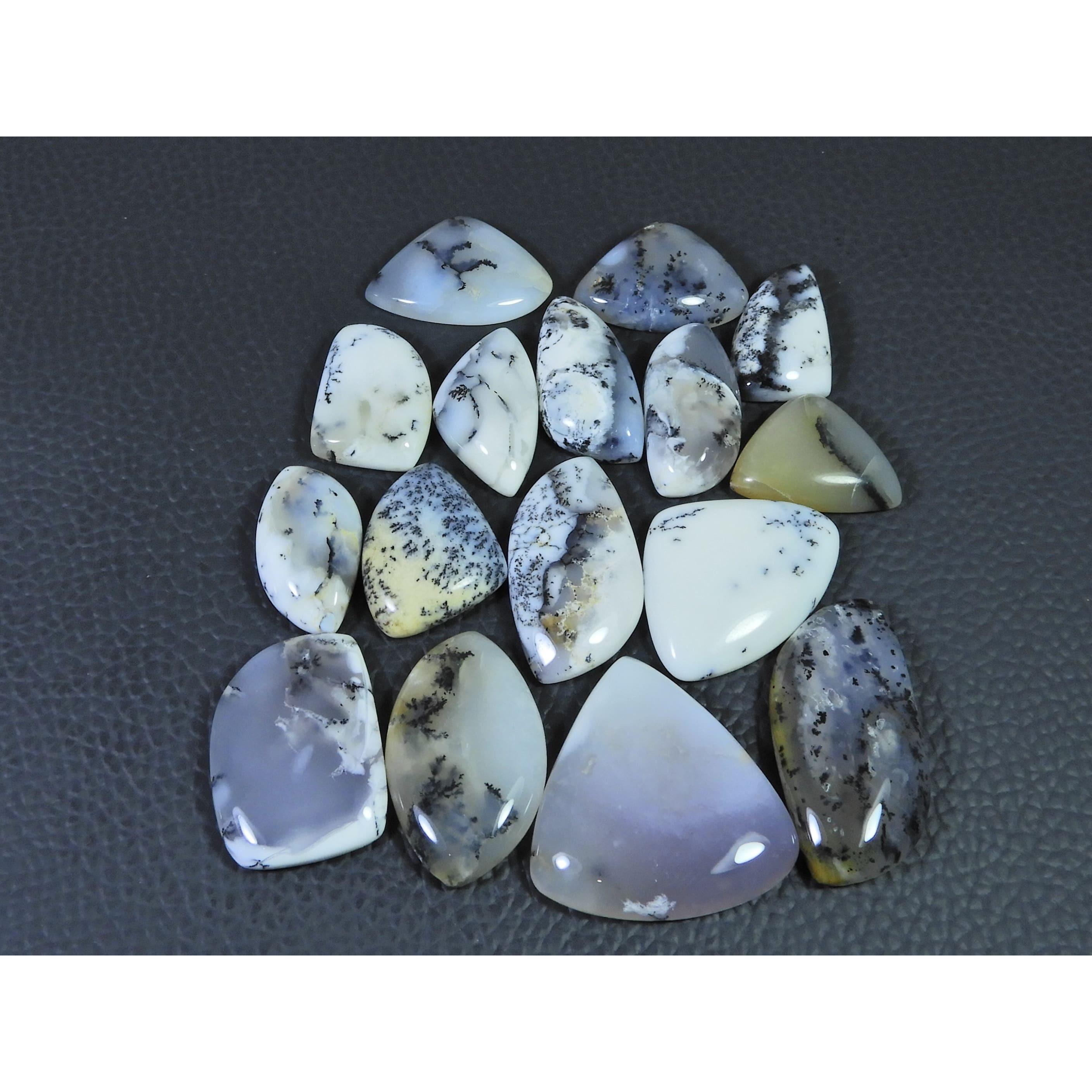 240Cts. Natural Dendrite Opal Agate Fancy Cabochon Loose Gemstone 16Pcs Lot C-2003