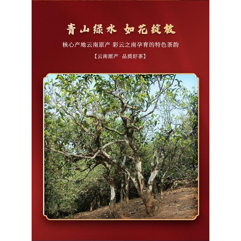Puerh Tea Brown Mountain Banzhang Pure Material Puerh Ripe Tea Cake 357g/12.59oz
