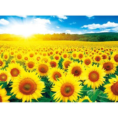 Sonnenblumenfeld-Puzzle AL5005, beliebte koreanische Puzzles