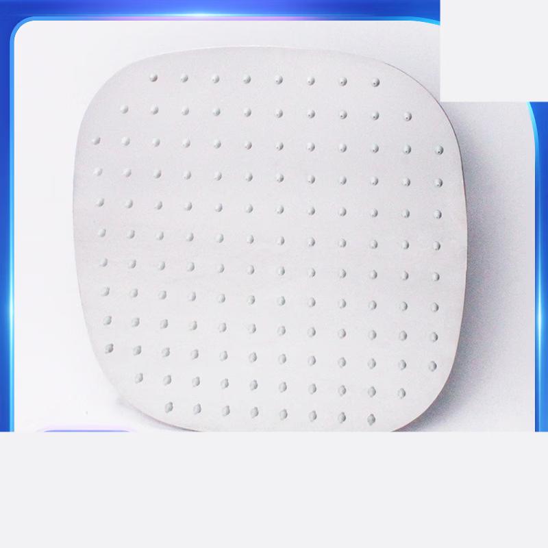 OEMG Stainless Steel Self-Cleaning Shower Head