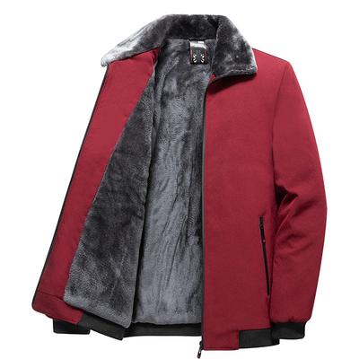 Lambswool Lining Fluffy Lightweight Soft Men's Cotton Jacket Warm Thickened Fashionable Versatile High-quality Fabric Jacket