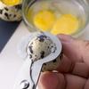 Quail Eggs Scissors Egg Topper Cutter Quick Shuck Kitchen Tools Stainless Steel Household Kitchen Egg Cutter for Cooking