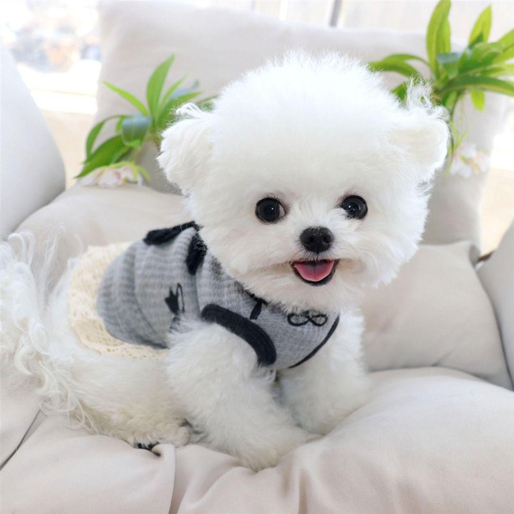 Breathable Pet Short Sleeve Cat Pattern Dog Undershirt Cute Dogs Pullover  Indoor/Outdoor