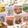 ZABC Cross the Flowers Dream Series Sticker Pack: 8 Styles of Plant & Flower Stickers for Journals and DIY Decor.