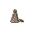 Gradient Snake Pattern Small Shoulder Bags 2025 New Fashion Chain Bucket Bag Street PU Leather Women'S Bag