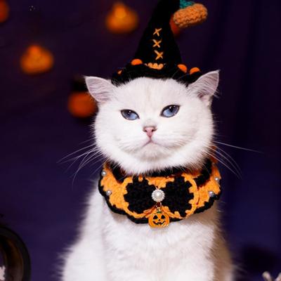 Gatos – Ropa