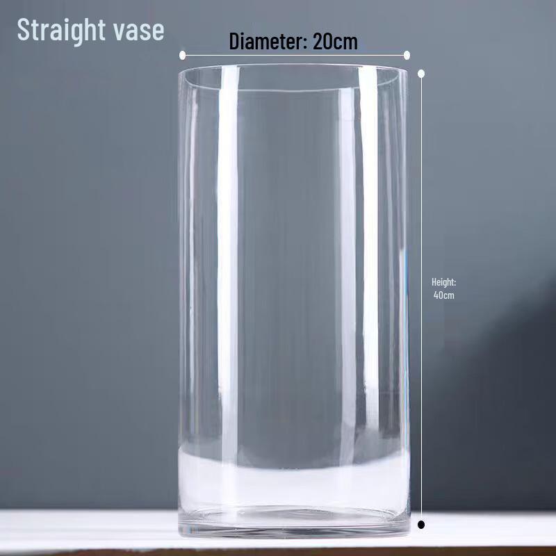 Transparent Hydroponic Glass Vase