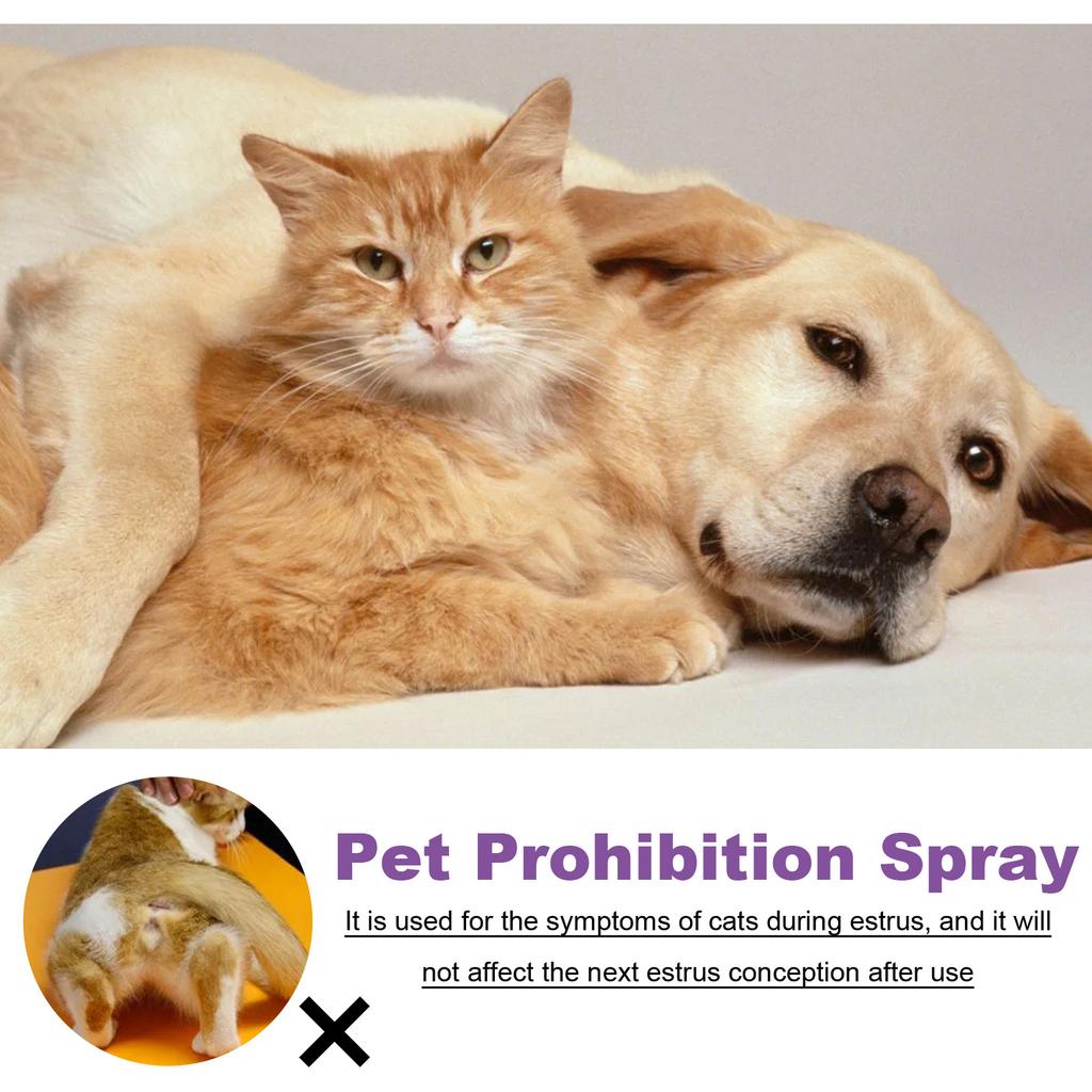 Pet Calming Spray Pheromone Mood Calming Diffuser Improve Estrus Agitation Anxiety Relief Prevent Howling Cat Dog Health Supply