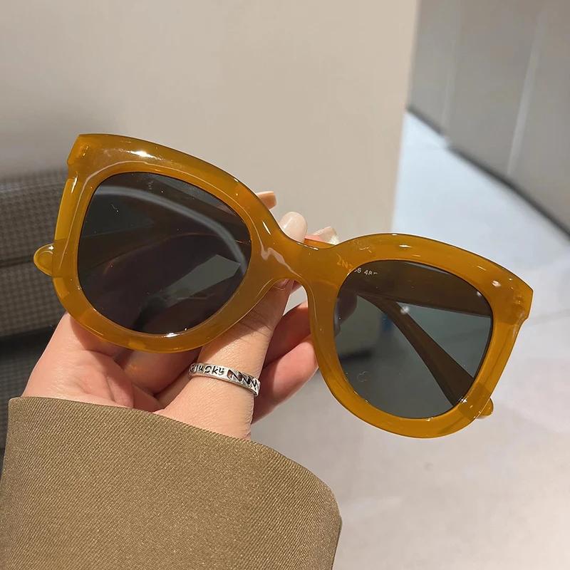 Trendy Oversized Butterfly Cat Eye Sunglasses for Women Fashion Colorful Designer Shades Popular Brand Eyewear
