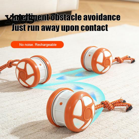 Electronic Pet Exerciser for Home Electric Automatic Rolling Dog Ball Toy, Motion-Activated Random Path Moving Toy with Autonomous Dogs Rope,