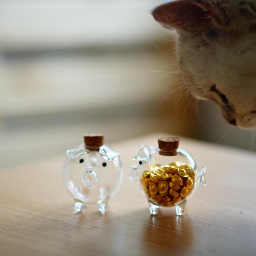 7M9Kins Mini Piggy Bank Wishing Bottle with Golden Beans, Xiaohongshu Style Glass Jar.