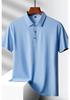 Men's Summer Ice Silk Seamless Polo - Elastic, Non-Iron, Short Sleeve