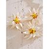 Yhpup Waterproof Trendy Petal Flower Handmade Necklace Bracelet Earrings Ring Fashion Stainless Steel PVD Plated Popular Jewelry