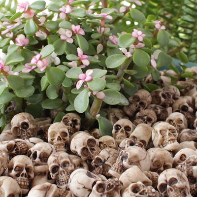 1/20pcs Mini Skulls Halloween Garden Decoration Bonsai Courtyard Ornament Small Skeleton Head Flowerpot Decor Realistic Crafts