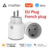 Matter Wifi Smart Socket 16A EU / French Smart Plug Use Tuya App with Power Monitoring Works with Homekit Alexa Echo Google