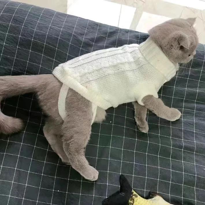 Kattkläder för husdjurskatter Kläder för husdjur Tröja Husdjur Hundkläder för katter Hundar Kitty Outfit Ren T-shirt Hundkappa Väst Kostym