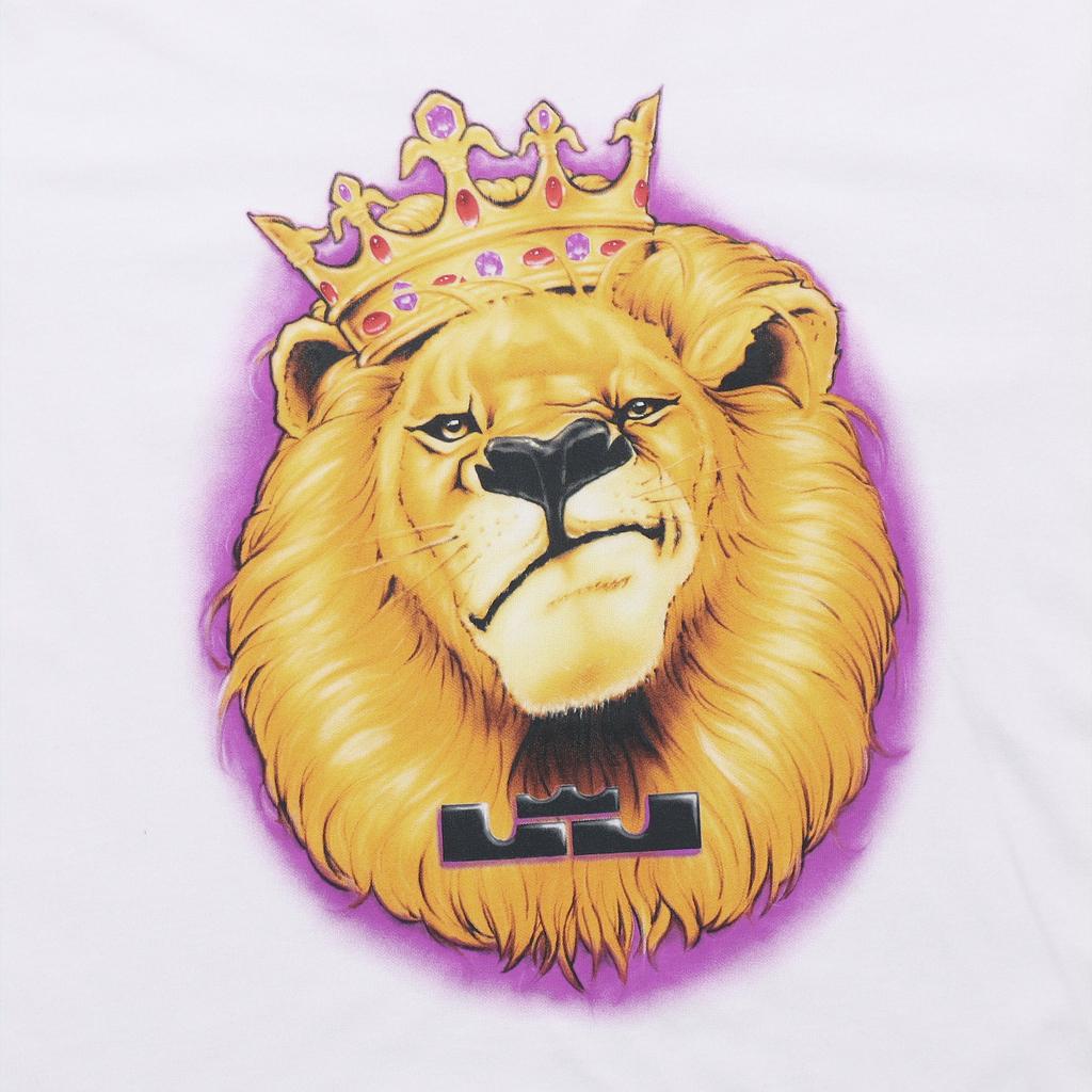 Nike Printed Short Sleeve Crew Neck T-Shirt Men Tops BV8316-100