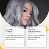 Silbergraues Haarspray Langanhaltend Feuchtigkeitsspendend und Pflegend Pflanzenextrakt Haarpflege Modischer Haarfärbemittel